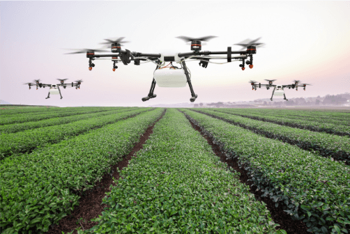 Drone spraying crops