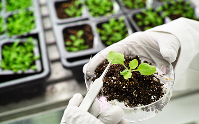 Sustainable Farming Solutions: Bio-pesticides and Bio-formulants from SurfChem