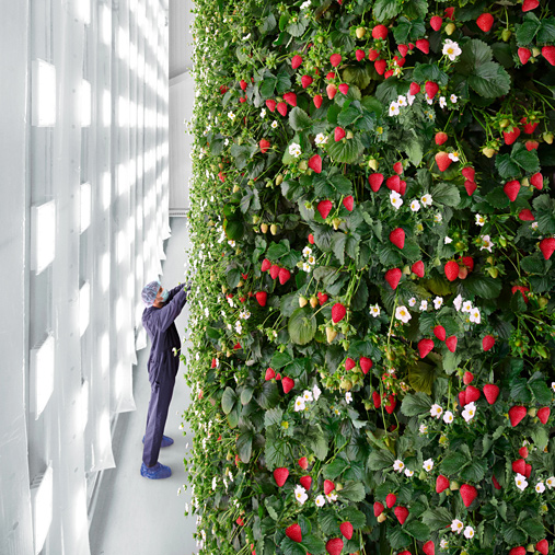 Innovation in Sustainability: Surfactant Chemicals’ Commitment to Water Conservation